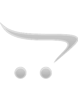 Karaağaç Ağacı Bağlama Yılmaz Müzik